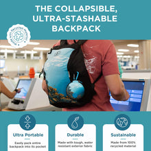 Load image into Gallery viewer, Collapsible Backpack